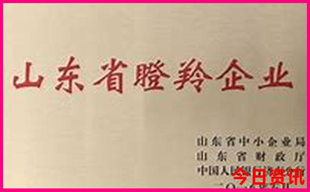 彩色软件库